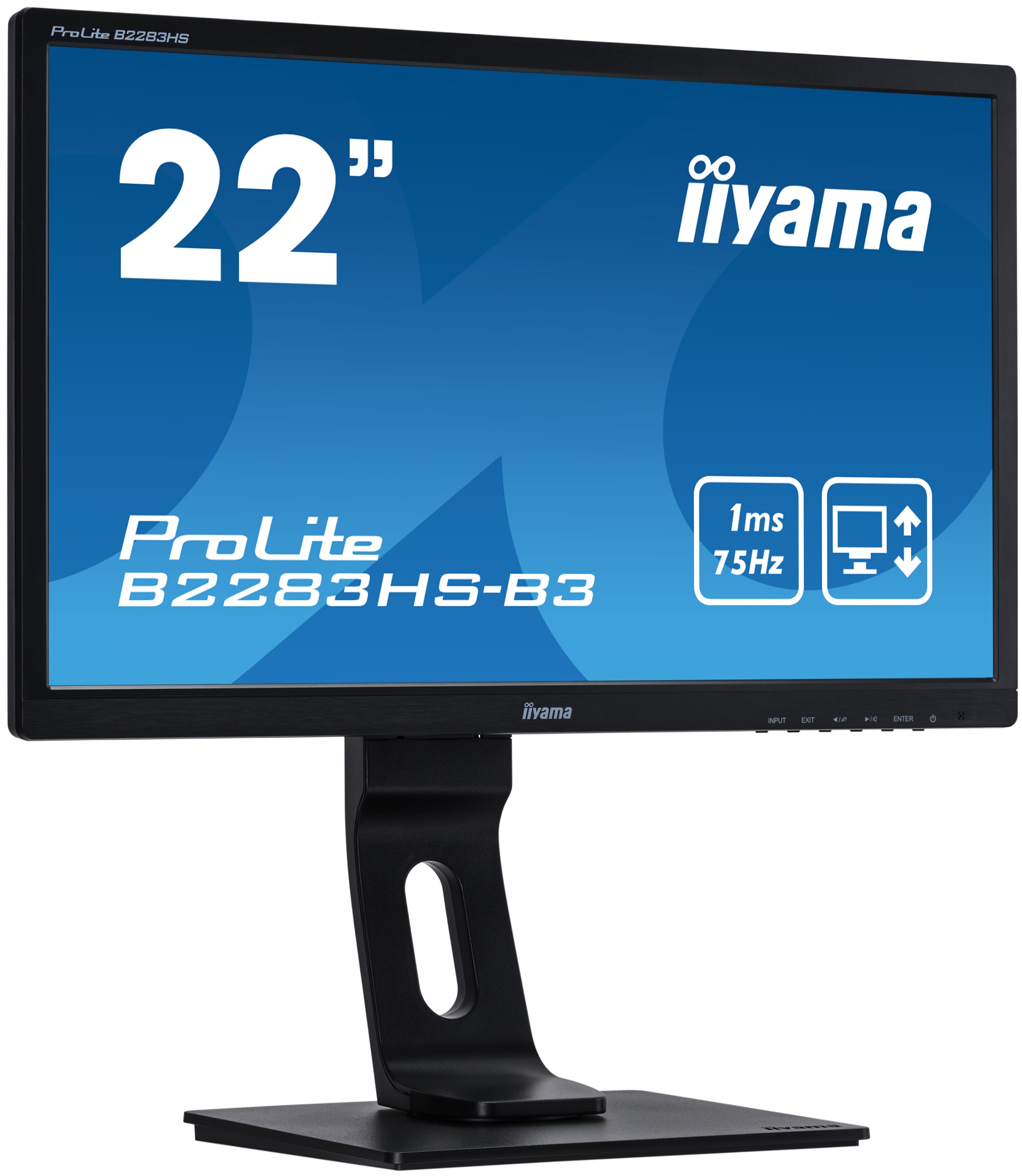 iiyama Prolite B2283HS-B3 21.5 Full HD TN Mat Noir écran Plat de PC LED Display écrans Plats de PC 21.5 , 1920 x 1080 Pixels, LED, 1 ms, 250 CD/m², Noir 54,6 cm